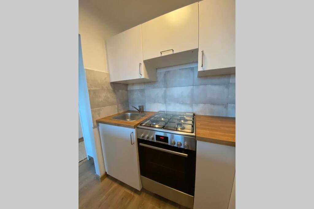 Modern Studio Apartment At Park&Stadium Near City Center Apartament Katowice