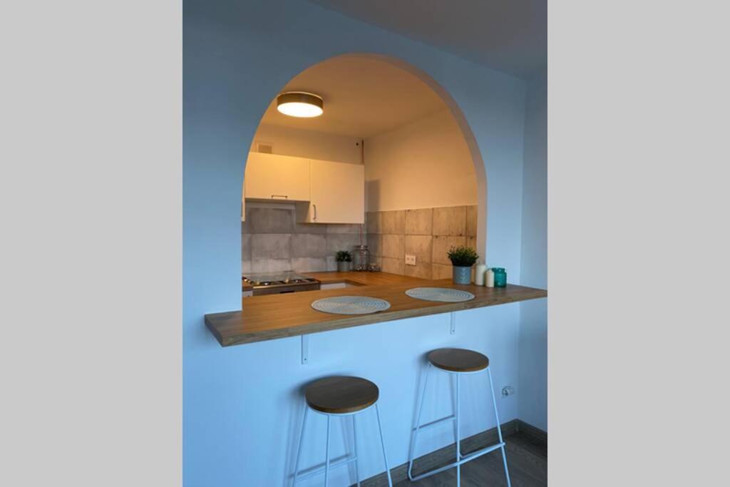 Modern Studio Apartment At Park&Stadium Near City Center * Katowice